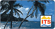 pc,isdn,e-shops, guenstig,online,buchen,kaufen,1und1,1&1,starker partner,urlaub online,ab in den sueden,fly away